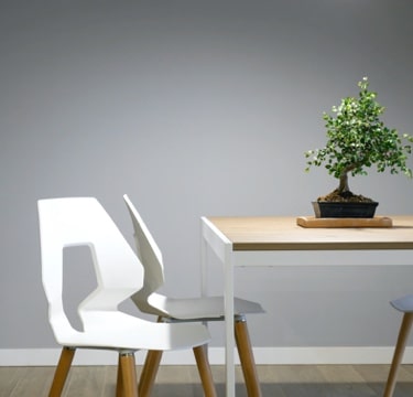 White chairs and table. on the table is a bonsay tree.